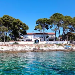 book here